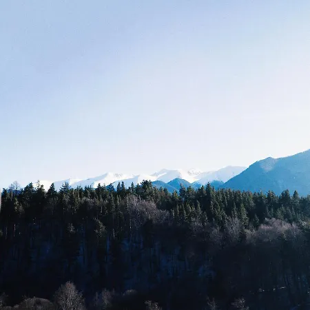 One-bedroom In The Beautiful Pinerose Bansko
